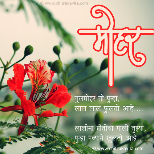 Marathi Love Greeting Gulmohar | Chitrakavita.com