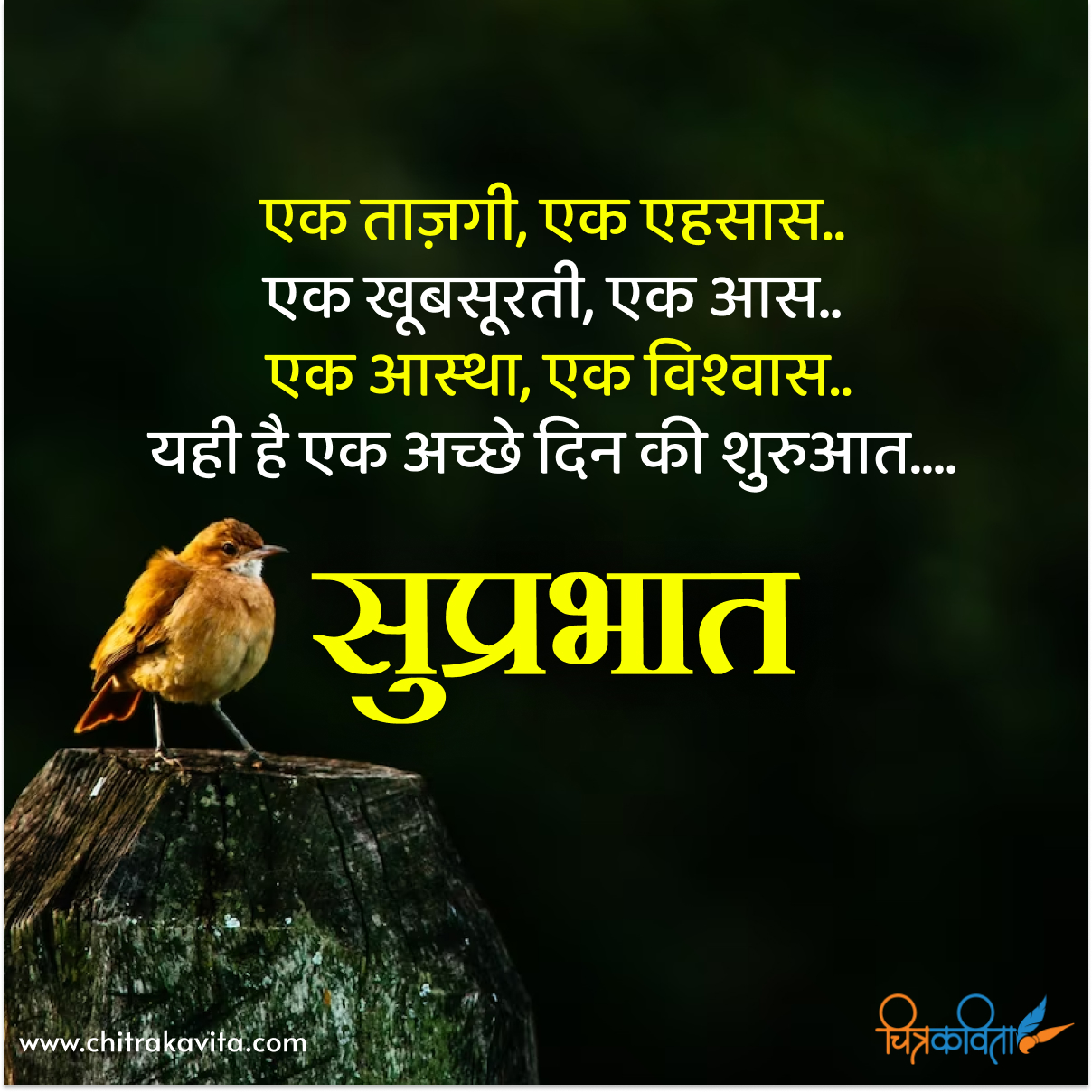 Good Morning Wishes For Friends In Hindi Infoupdate