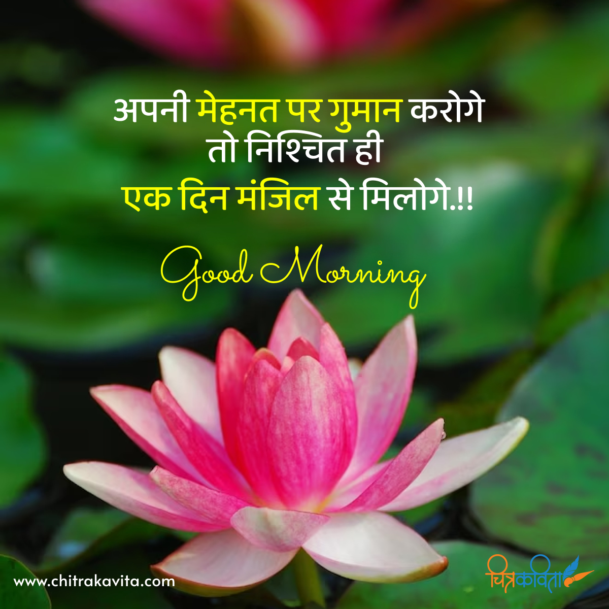 good morning status, good morning quotes, inspirational quotes, motivational quotes, positive thoughts, daily motivation, life quotes, success quotes, confidence quotes, morning inspiration, positive mindset, start your day, uplifting messages, self motivation, morning positivity, Hindi Status on Good Morning, mehnat, work hard, hard work