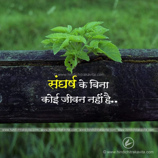 fight, sangharsh quotes, life quotes, hindi life quotes, life quotes in hindi