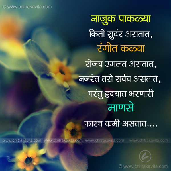 people, relationship, mind, love, marathi suvichar, marathi sayings, quotes in marathi