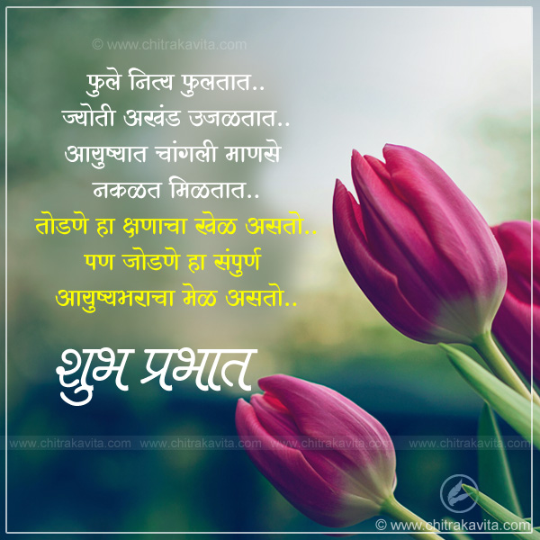 good morning, flowers, shubh prabhat, marathi quotes, marathi shubh prabhat quotes