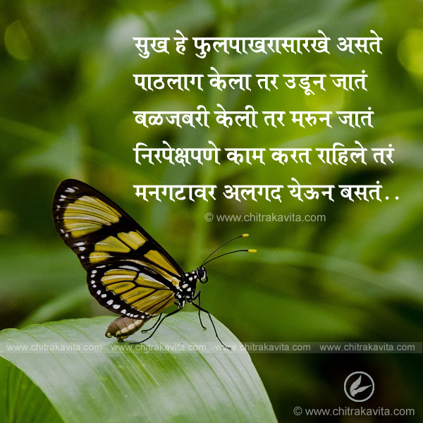 happiness marathi quotes, positive marathi quotes, fulpakhru, butterfly